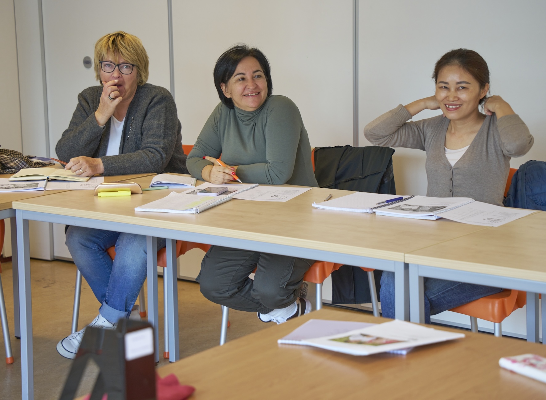 Nederlandse taallessen op diverse niveaus Piezo